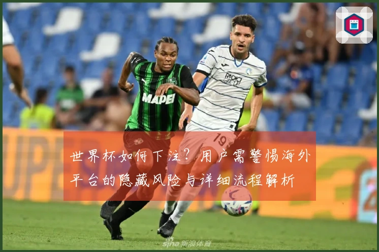 世界杯如何下注？用户需警惕海外平台的隐藏风险与详细流程解析