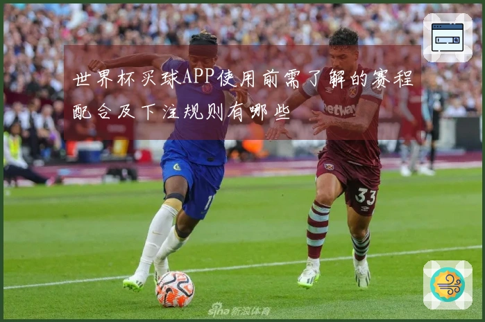 世界杯买球APP使用前需了解的赛程配合及下注规则有哪些