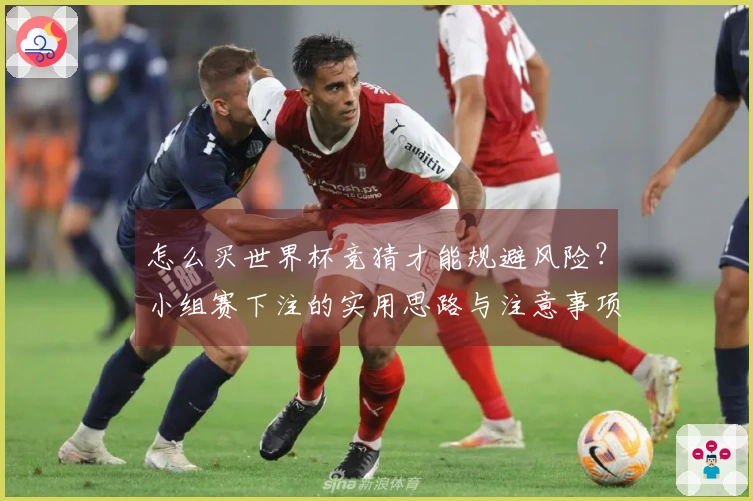 怎么买世界杯竞猜才能规避风险？小组赛下注的实用思路与注意事项