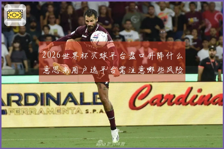 2026世界杯买球平台盘口升降什么意思老用户选平台需注意哪些风险