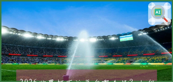 2026世界杯下注平台哪个好？如何判断正规可靠的投注网站